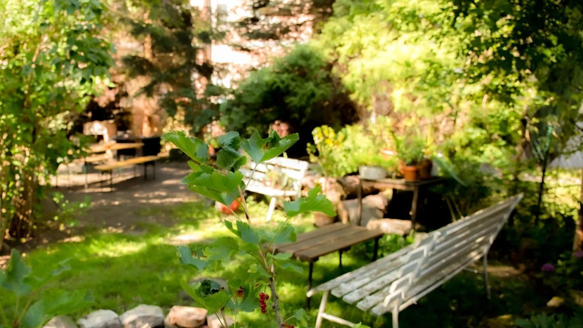 Apartman Ferienwohnung Winternest Drezda